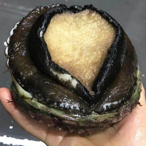 &#21916;&#21033;&#24471;&#40;&#20013;&#22269;&#41;